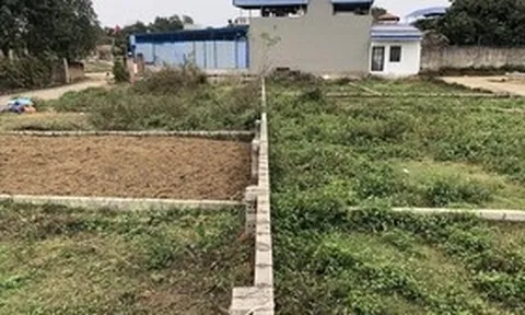 Góp vốn đầu tư đất nền, 2 người phụ nữ bị lừa 7,7 tỷ đồng