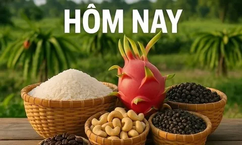 Giá nông sản hôm nay 30/6/2026: Giá cà phê robusta còn nhận được lực hỗ trợ; Doanh nghiệp Mỹ 'chạy đua' nhập hàng trước vòng áp thuế mới
