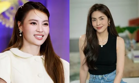 Tuyên bố của Ninh Dương Lan Ngọc về Tăng Thanh Hà