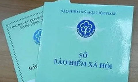 Công ty làm ăn thua lỗ, nữ nhân viên nghỉ việc rồi kiện ra tòa đòi gần 50 triệu