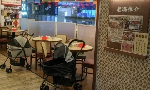 Hong Kong mở cửa đón 'thực khách bốn chân', kỳ vọng thúc đẩy nền kinh tế thú cưng