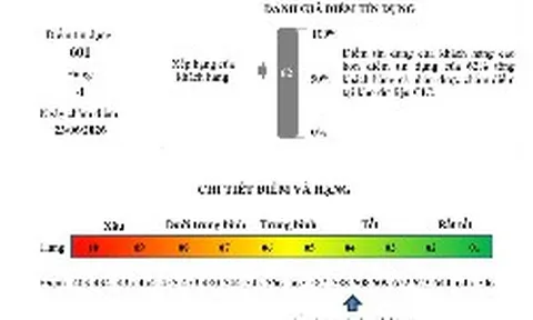 Không có nợ xấu nhưng nhiều người phát hiện bị rớt điểm tín dụng, tụt hạng khi kiểm tra CIC: Vì sao?