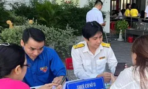 Cách ứng phó rủi ro về thuế