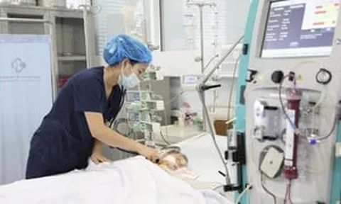 Bé trai 15 tháng tuổi nguy kịch sau khi bị ong vò vẽ đốt 60 nốt