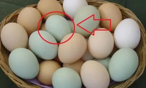 Sự thật về trứng vịt vỏ xanh và vỏ trắng không phải ai cũng biết