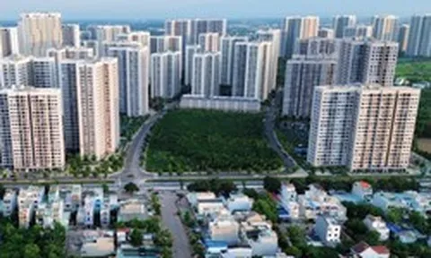 Mức kiến nghị xử lý công ty bất động sản cao gấp 18 lần các doanh nghiệp nói chung