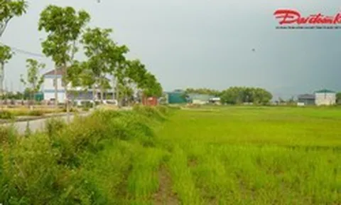Đấu giá đất nông thôn ở Hà Tĩnh: Vì sao giá khởi điểm lên tới hơn 5,3 tỷ đồng?
