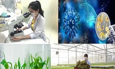 Phát triển công nghiệp sinh học ngành nông nghiệp và môi trường