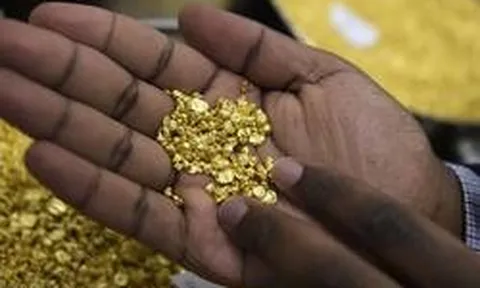 Tịch thu hơn 12,5 kg vàng trị giá gần 311 tỷ đồng ngay trên một chiếc xe khách Trung Quốc