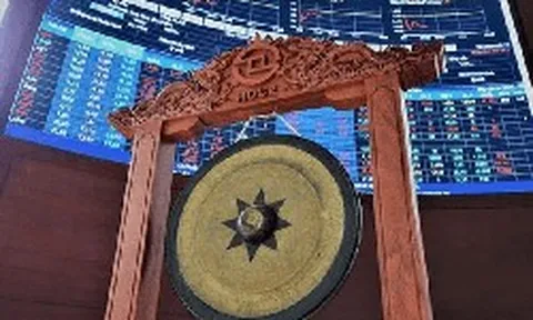 Hơn 450.000 tỷ đồng 'hàng mới' lên thị trường trong khoảng 1 năm qua: Mã 'bé hạt tiêu' nhân bằng lần, cổ phiếu 'hàng hiệu' bay hơn 20%
