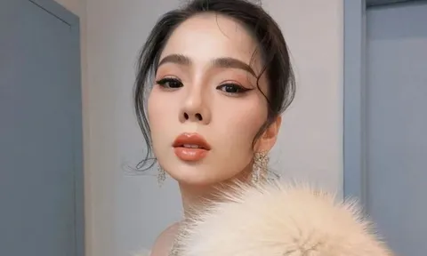 Mạng xã hội dậy sóng với ca sĩ Lệ Quyên