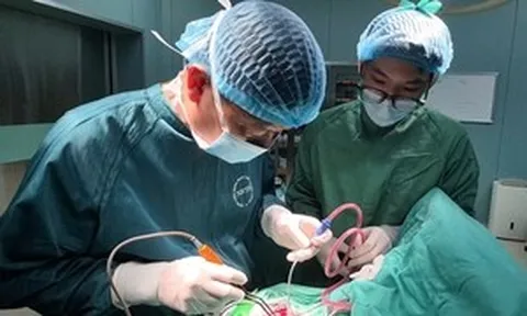 Bé 27 tháng tuổi chấn thương sọ não sau cú ngã
