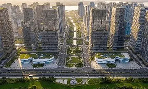 Diễn biến mới tại 2 dự án hơn 260 ha do liên danh Đại Quang Minh - THACO - Hòa Phát đầu tư