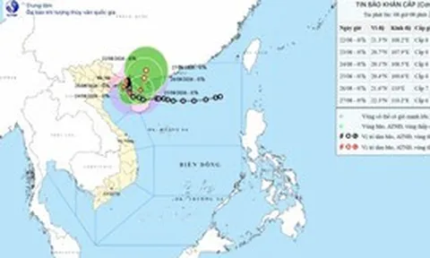 Ngành điện ứng phó bão số 4: Giảm công suất nhiệt điện Quảng Ninh, Hải Phòng nếu gió mạnh trên cấp 9