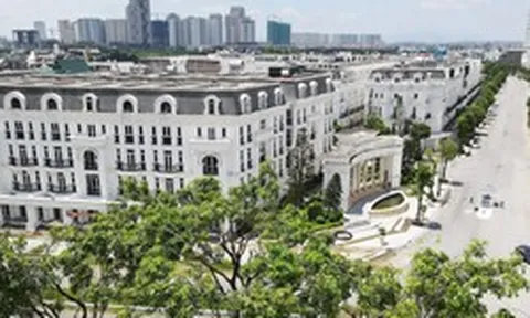Một thành viên nhóm Lã Vọng được thuê 7.400 m2 đất xây trường học tại Hà Nội