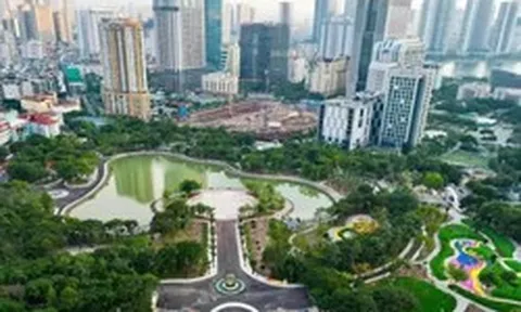 Sắp đấu giá 8 thửa đất ở tại KĐT mới Cầu Giấy, giá khởi điểm gần 200 tỷ đồng
