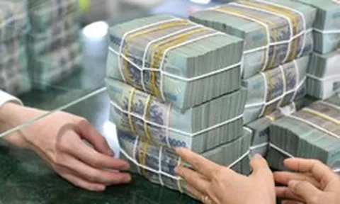 Một vị trí việc làm ở Việt Nam có thể được trả lương tới 850 triệu đồng/tháng