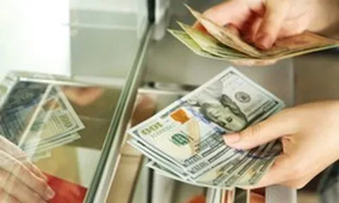 Từ mai (1/9), sẽ phạt tiền đến 100 triệu đồng đối với các trường hợp sau liên quan tiền mã hóa