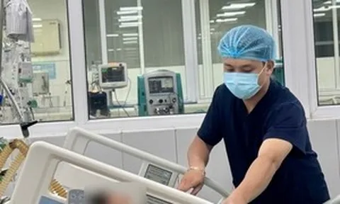Nghi bị ấu trùng mò đốt, bé gái bị sốc nhiễm khuẩn, suy đa tạng