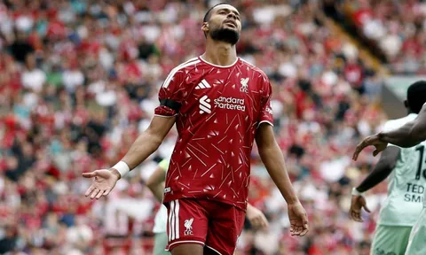 Gakpo không còn toàn tâm với Liverpool?
