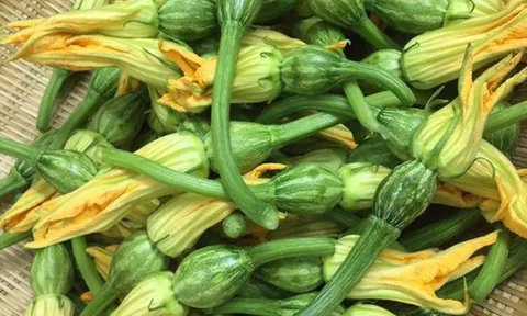 Lý do không nên ăn bông bí, dưa chuột có vị đắng