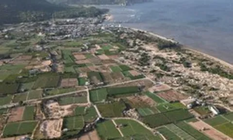 Quy định mới về thu hồi đất nông nghiệp có nguồn gốc lấn, chiếm tại khu vực triển khai dự án điện hạt nhân Ninh Thuận