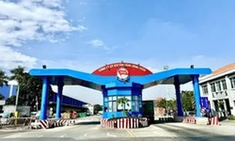 Một công ty chốt ngày trả cổ tức tiền mặt 29,5% trong tuần này