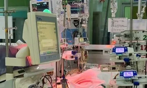 Hai người trẻ nguy kịch vì sốt xuất huyết, chi phí điều trị tiền tỷ