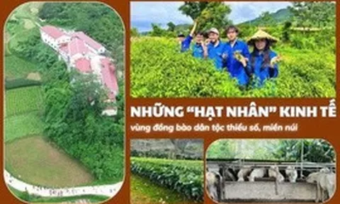 Những ‘hạt nhân’ kinh tế vùng đồng bào dân tộc thiểu số, miền núi