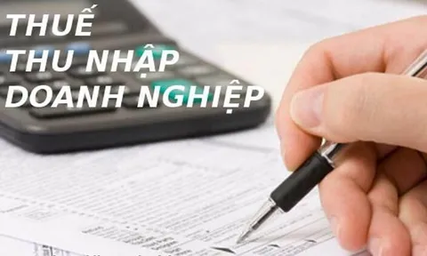 Chính phủ cho ý kiến đối với 4 dự án luật do Bộ Tài chính trình