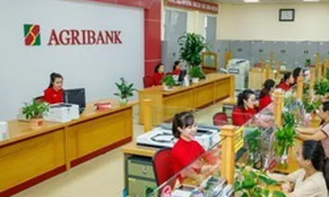 Lãi suất Agribank ngày 19/9: Gửi 100 triệu, 200 triệu, 300 triệu và 500 triệu thì mang về bao nhiêu tiền lãi?