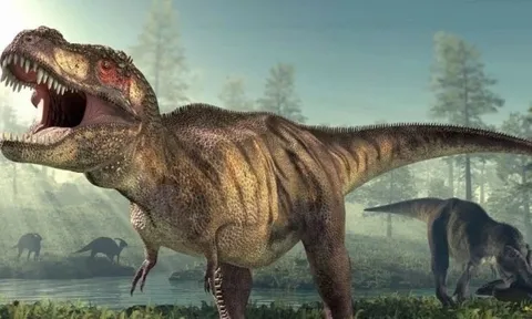 Nghiên cứu mới hé lộ thân nhiệt thực sự của khủng long bạo chúa T. rex