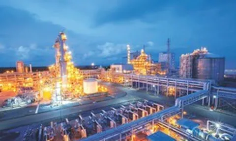 Hành trình 15 năm gắn kết cộng đồng của Phân bón Cà Mau