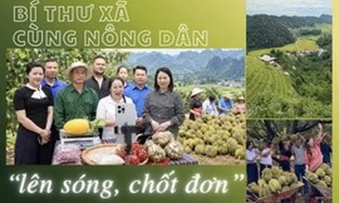Bí thư xã cùng nông dân ‘lên sóng, chốt đơn’