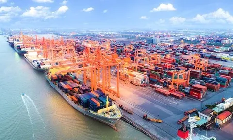 Hàng hóa xuất khẩu, nhập khẩu qua sàn thương mại điện tử phải làm thủ tục hải quan