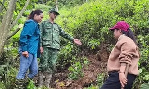 Đà Nẵng: Phát hiện vết nứt dài trên núi, sơ tán khẩn cấp 40 hộ dân