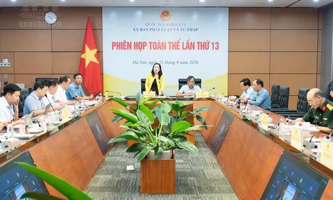 Thẩm tra cơ chế thí điểm thu hồi tài sản liên quan đến tội phạm không qua kết tội