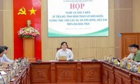 Quảng Ngãi: Gấp rút xử lý dứt điểm các dự án tồn đọng, kéo dài