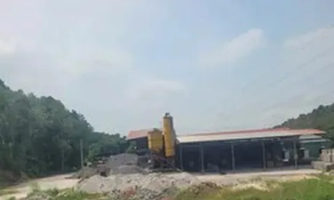 Hà Nội tháo dỡ hàng loạt nhà gỗ, nhà dạng container trên đất rừng