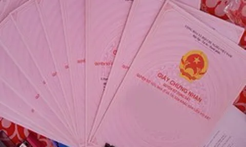 Bất động sản được chuyển nhượng với giá 30 triệu đồng, vài năm sau được định giá hơn 1,3 tỷ để thế chấp vay ngân hàng