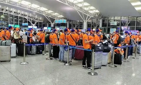 Doanh nghiệp chỉ được thu phí đào tạo lao động đi nước ngoài sau khi người lao động được tuyển chọn