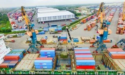 Vừa trở thành cổ đông lớn, Gelex bán sạch 9,7 triệu cổ phiếu Hải An, thu về gần 500 tỷ đồng