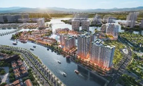 Tỷ lệ 60% studio tại The Fest: Airbnb hoàn hảo cho nhà đầu tư sành sỏi