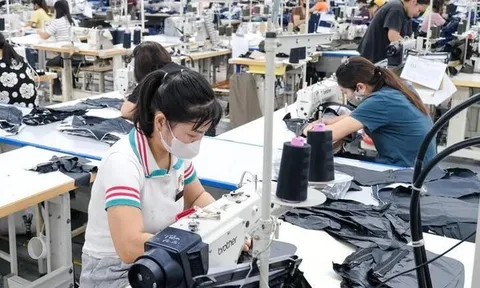 Bộ Nội vụ nêu lý do chưa phù hợp giảm giờ làm từ 48 giờ xuống 44 giờ/tuần