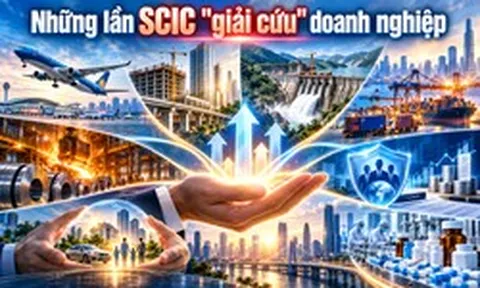 Những lần “cá mập” Nhà nước ra tay cứu nạn cho Vinaconex, Sông Đà, Vietnam Airlines, Thép Việt Nam