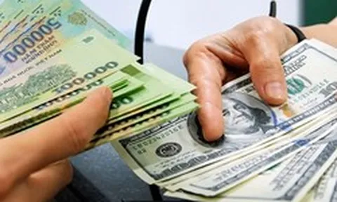 Rút ngắn thời gian xử lý đăng ký giao dịch ngoại tệ