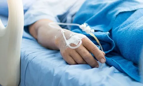 Đang hái chè, người phụ nữ bị con vật màu trắng cắn nguy kịch