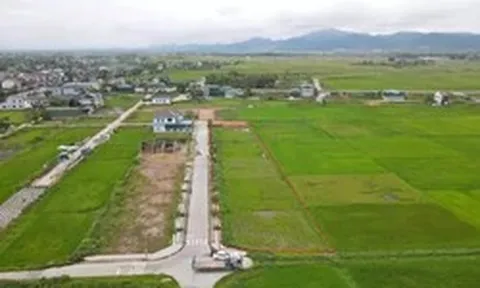 Đấu giá 2 lần không ai mua, 13 lô đất nông thôn dự kiến giảm cả tỷ đồng