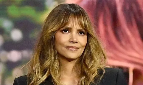 Nữ minh tinh Halle Berry căng thẳng với chồng cũ vì quyền nuôi con