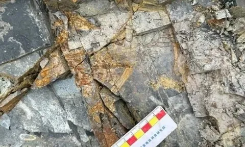 Trung Quốc phát hiện hóa thạch loài chim ăn thịt không biết bay thời cổ đại